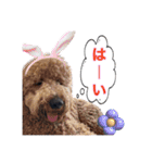 オデカーズ（個別スタンプ：17）