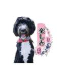 オデカーズ（個別スタンプ：18）