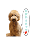 オデカーズ（個別スタンプ：19）