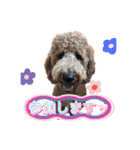 オデカーズ（個別スタンプ：20）