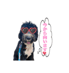 オデカーズ（個別スタンプ：22）