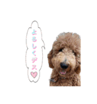 オデカーズ（個別スタンプ：24）
