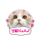 ましゅスタ♡（個別スタンプ：7）