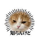 ましゅスタ♡（個別スタンプ：14）