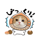 ましゅスタ♡（個別スタンプ：15）