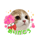ましゅスタ♡（個別スタンプ：22）