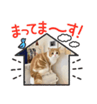 ましゅスタ♡（個別スタンプ：30）