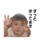 あんとミロ（個別スタンプ：1）