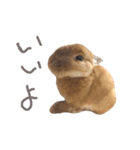 敬語も使い分けれるネザーのモコ（個別スタンプ：2）