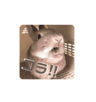 敬語も使い分けれるネザーのモコ（個別スタンプ：7）