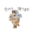 敬語も使い分けれるネザーのモコ（個別スタンプ：10）