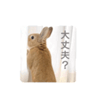 敬語も使い分けれるネザーのモコ（個別スタンプ：11）