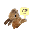 敬語も使い分けれるネザーのモコ（個別スタンプ：16）