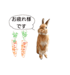 敬語も使い分けれるネザーのモコ（個別スタンプ：21）
