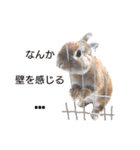敬語も使い分けれるネザーのモコ（個別スタンプ：31）