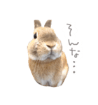 敬語も使い分けれるネザーのモコ（個別スタンプ：35）