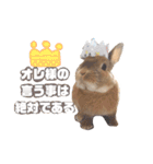 敬語も使い分けれるネザーのモコ（個別スタンプ：36）