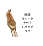敬語も使い分けれるネザーのモコ（個別スタンプ：40）