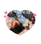 マムちゃんスタンプ 3（個別スタンプ：24）