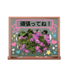 お花可愛い気軽にお喋り出来るスタンプ（個別スタンプ：1）