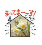 お花可愛い気軽にお喋り出来るスタンプ（個別スタンプ：5）