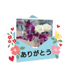 お花可愛い気軽にお喋り出来るスタンプ（個別スタンプ：8）