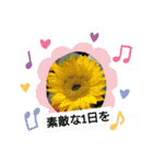 お花可愛い気軽にお喋り出来るスタンプ（個別スタンプ：15）