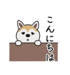 柴犬のあずきさん（個別スタンプ：2）