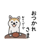 柴犬のあずきさん（個別スタンプ：3）