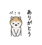 柴犬のあずきさん（個別スタンプ：4）