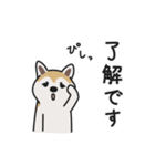 柴犬のあずきさん（個別スタンプ：5）