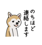 柴犬のあずきさん（個別スタンプ：8）