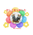 Wan Peamilia ②（個別スタンプ：3）