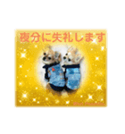 Wan Peamilia ②（個別スタンプ：4）