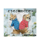 Wan Peamilia ②（個別スタンプ：5）