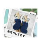 Wan Peamilia ②（個別スタンプ：6）