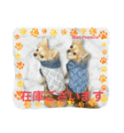 Wan Peamilia ②（個別スタンプ：7）