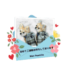 Wan Peamilia ②（個別スタンプ：8）