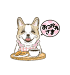 My Dog Stickers-COCO＆TOTOO-（個別スタンプ：3）