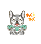 My Dog Stickers-COCO＆TOTOO-（個別スタンプ：4）