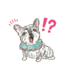 My Dog Stickers-COCO＆TOTOO-（個別スタンプ：6）