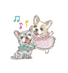 My Dog Stickers-COCO＆TOTOO-（個別スタンプ：11）