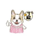 My Dog Stickers-COCO＆TOTOO-（個別スタンプ：12）