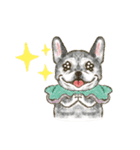 My Dog Stickers-COCO＆TOTOO-（個別スタンプ：13）