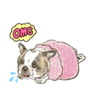 My Dog Stickers-COCO＆TOTOO-（個別スタンプ：16）