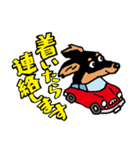 わんことドライブ。（個別スタンプ：16）