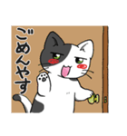 関西ぶち猫の日常会話（個別スタンプ：3）