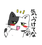 関西ぶち猫の日常会話（個別スタンプ：37）