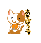 お気楽ねこまる（個別スタンプ：9）