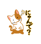 お気楽ねこまる（個別スタンプ：19）